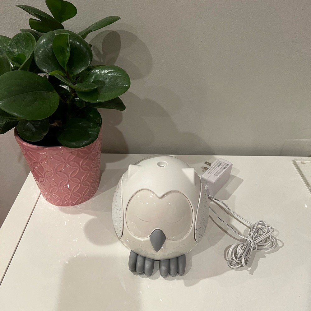 Young living snowy owl diffuser